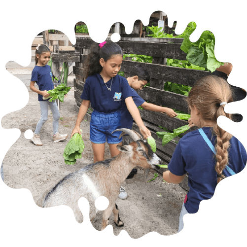 Children feeding animals during Summer Camp Learning Village field trip in Pembroke Pines Florida
